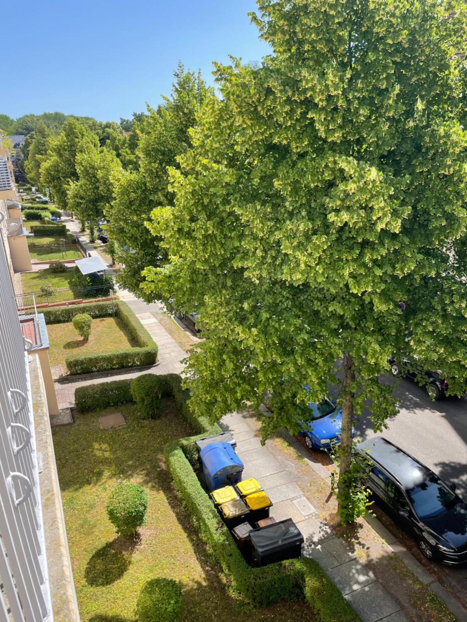 Ruhige Maisonettewohnung Auf Dem Kassberg Chemnitz Kültér fotó